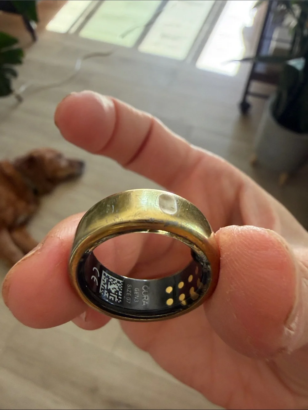 Oura Gold Tone Smart Ring with Black Interior